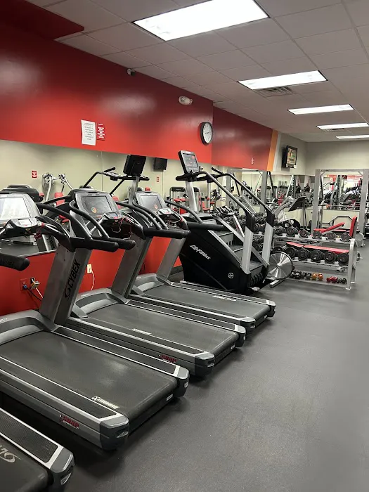 Snap Fitness Alexandria (Old Town) Picture 4