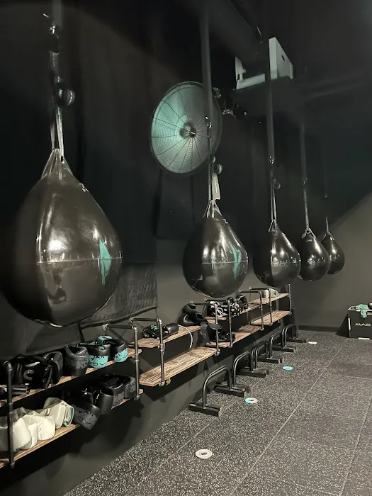 MADabolic Alexandria Picture 10