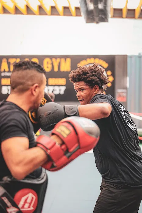 Atlas Muay Thai Picture 3