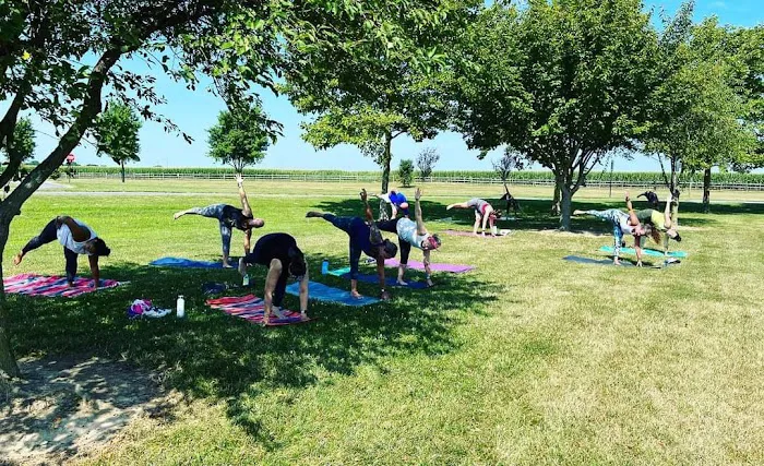 Free to Be Yoga & Movement Picture 7