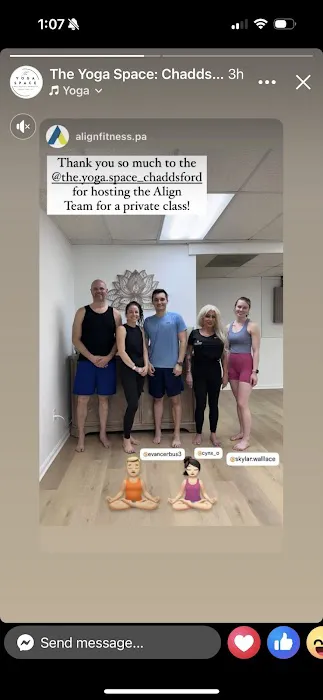 The Yoga Space- Chadds Ford Picture 4
