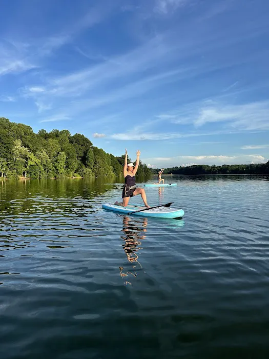 whole body wellness and yoga Picture 1