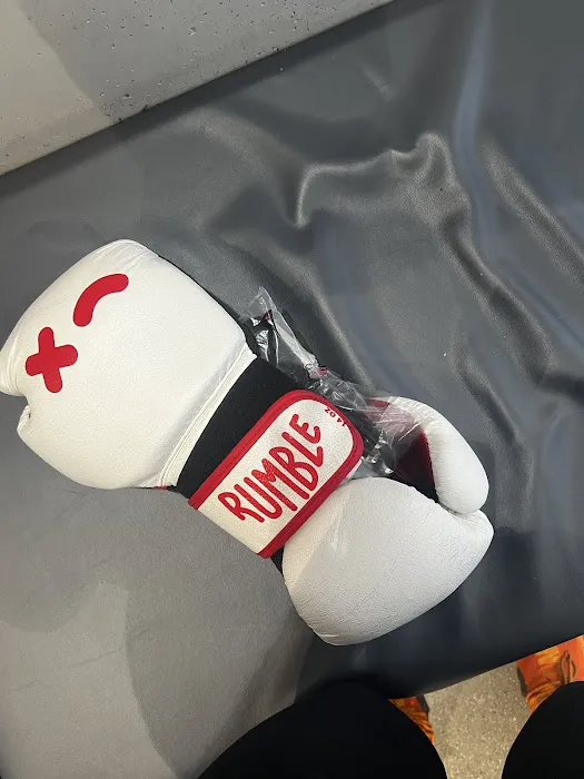 Rumble Boxing Picture 10