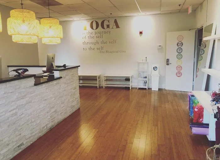 Reston Yoga - Therapeutic Hot Yoga Picture 1