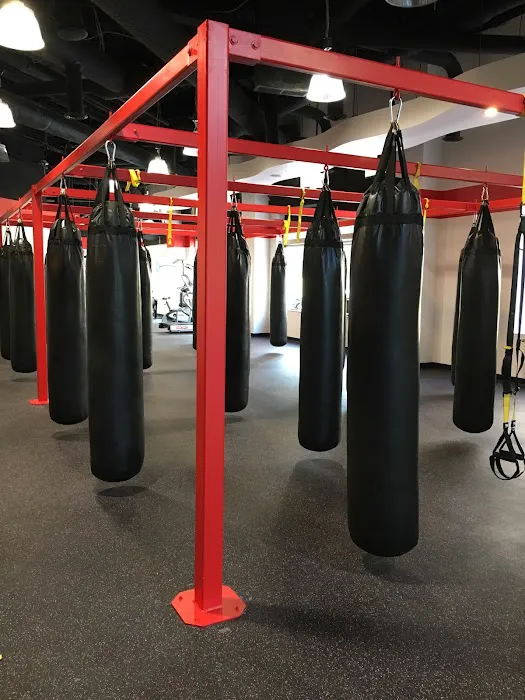 UFC Gym Reston Picture 1