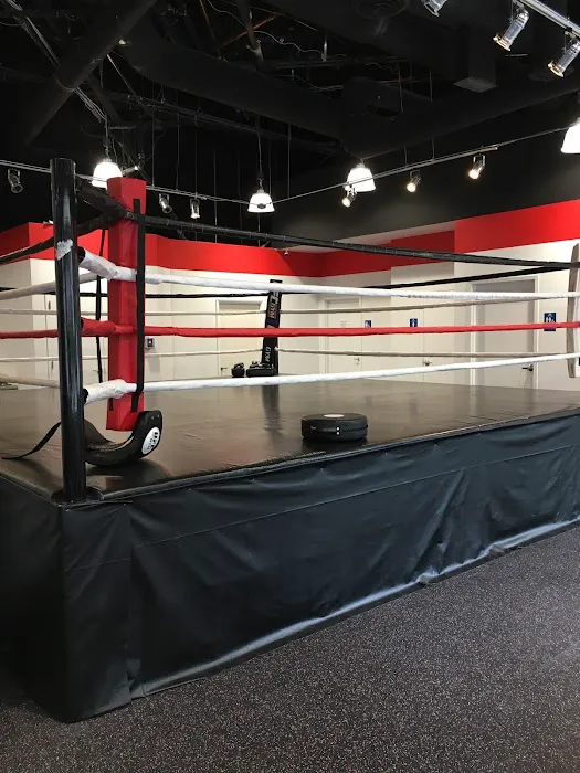 UFC Gym Reston Picture 4