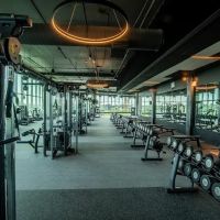 VIDA - Reston Station ico