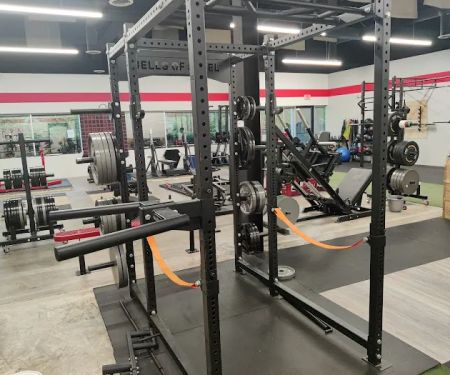 Strength Haven Gym
