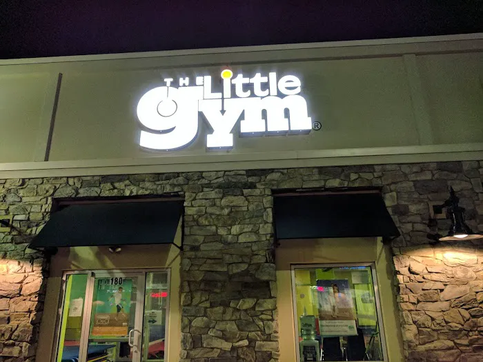 The Little Gym of Dulles Landing Picture 6