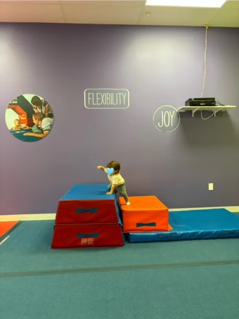 The Little Gym of Dulles Landing Picture 1