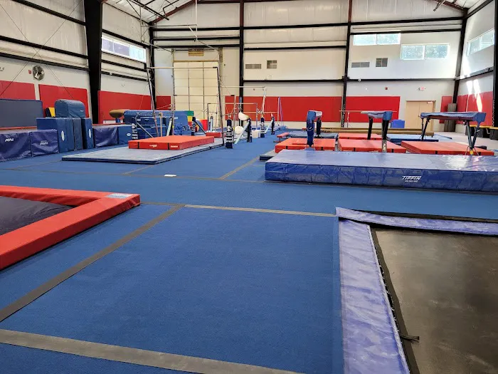 St. Mary's County Gymnastics Academy Picture 8