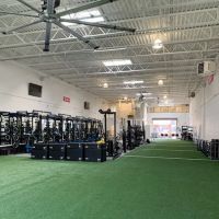 Healthy Baller Alexandria ico