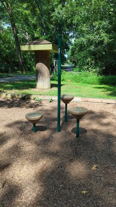 Calisthenics Park Picture 2