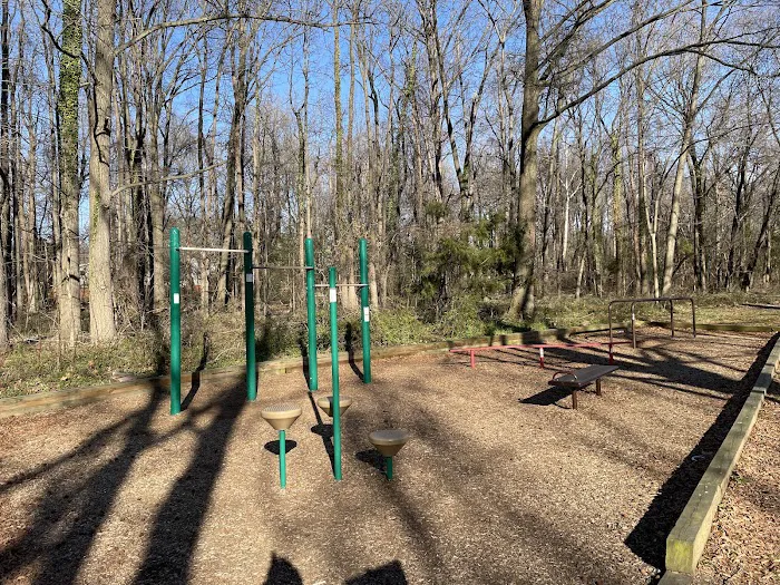 Calisthenics Park Picture 1