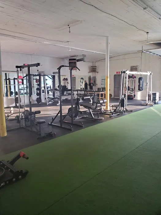 Viking Fitness Picture 2