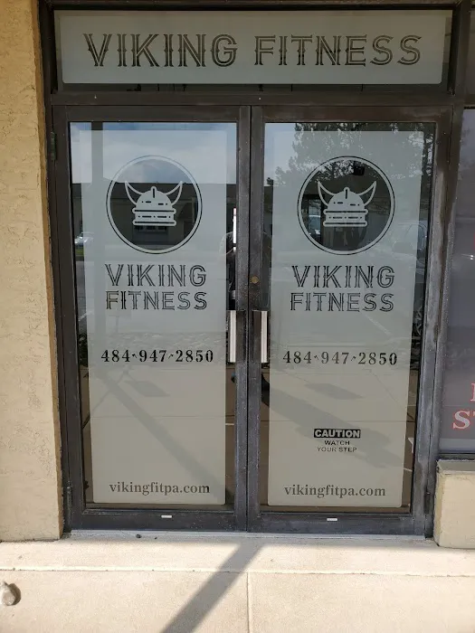 Viking Fitness Picture 6