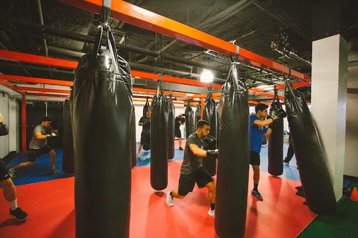 Urban Boxing Picture 9