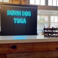 Down Dog Yoga Georgetown ico