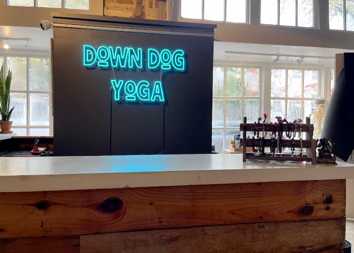 Down Dog Yoga Georgetown Picture 2