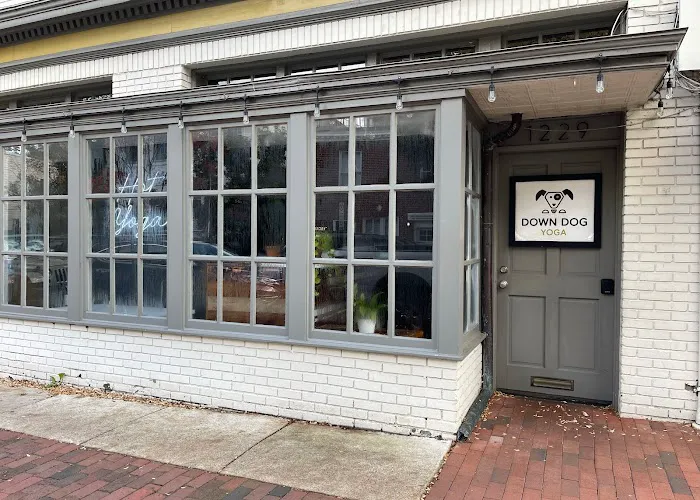 Down Dog Yoga Georgetown Picture 10