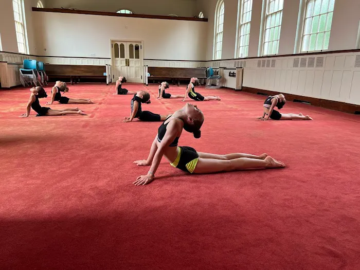 Gymnastics Together Picture 5