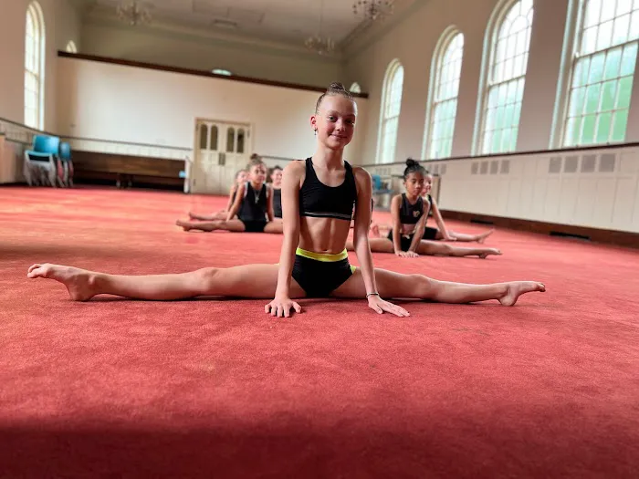 Gymnastics Together Picture 6