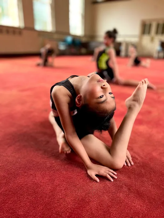 Gymnastics Together Picture 1