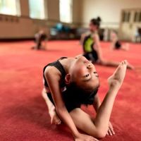 Gymnastics Together ico