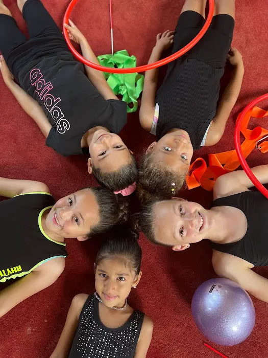 Gymnastics Together Picture 4