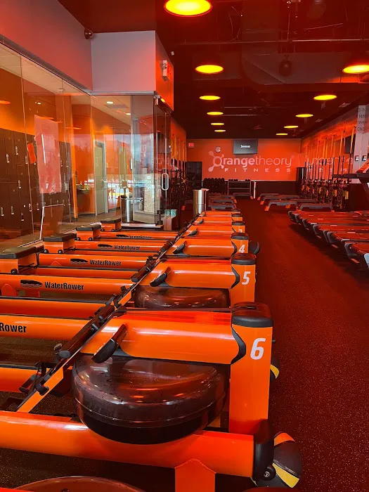Orangetheory Fitness Picture 5