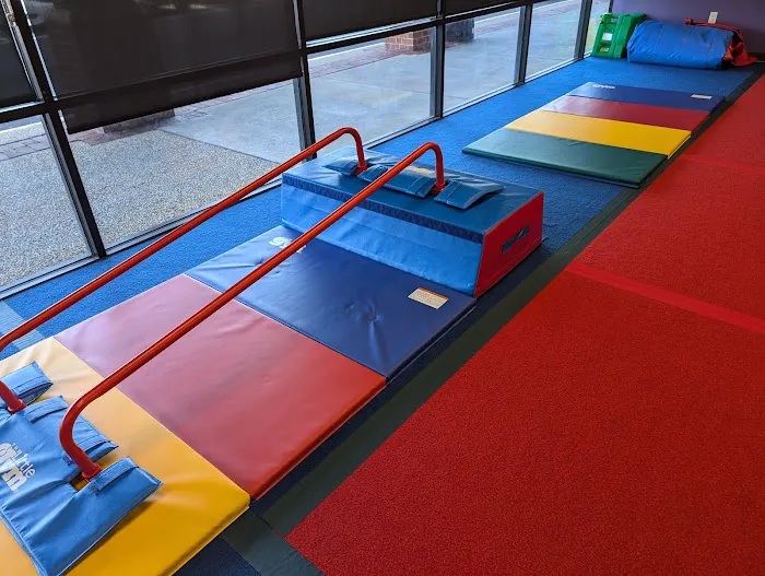 The Little Gym of Fairfax, VA Picture 3