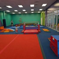 The Little Gym of Fairfax, VA ico