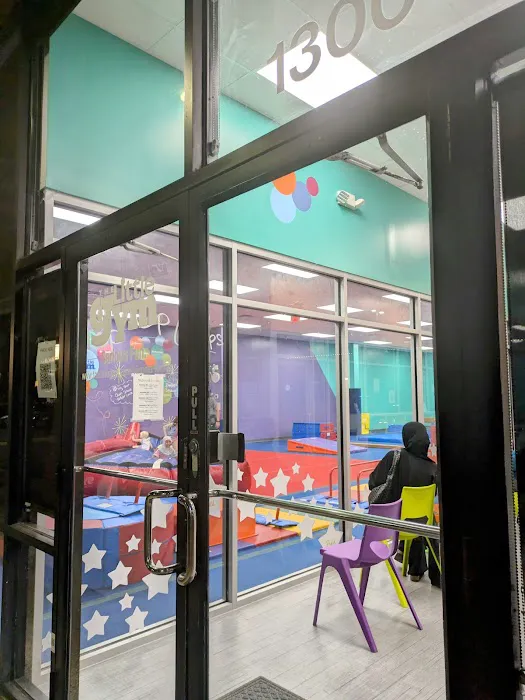 The Little Gym of Fairfax, VA Picture 6