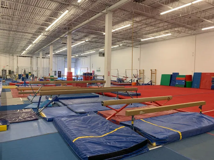 Gym America - Gymnastics & Dance Center Picture 7