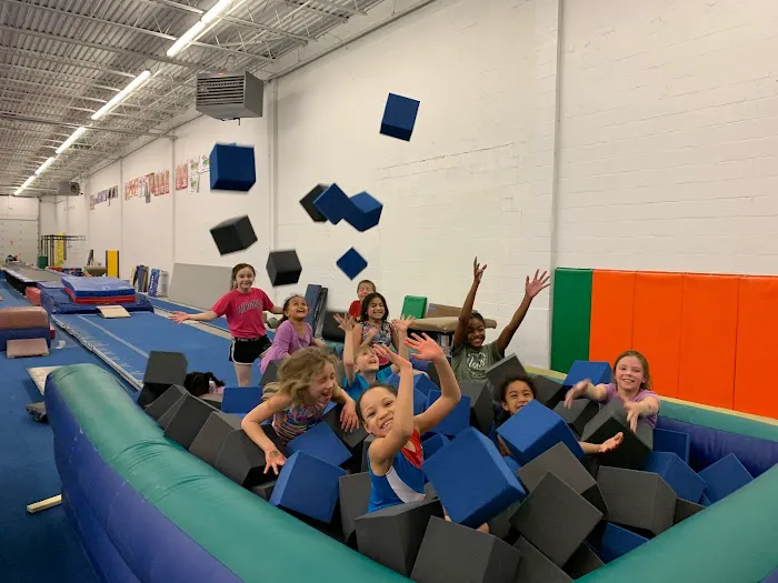 Gym America - Gymnastics & Dance Center Picture 2