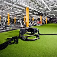 Optimum Sports and Fitness ico