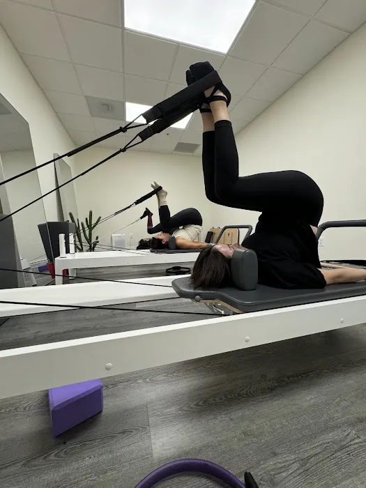 TANZ Pilates Picture 8