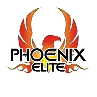 Phoenix Elite Cheer Picture 5