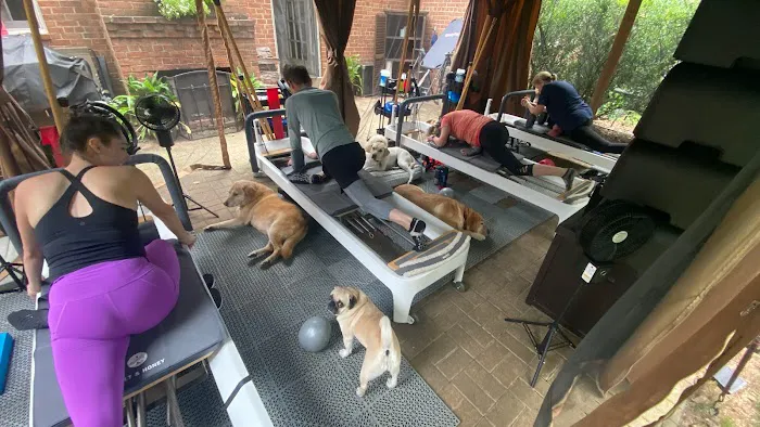Pilates Mechanic Picture 4