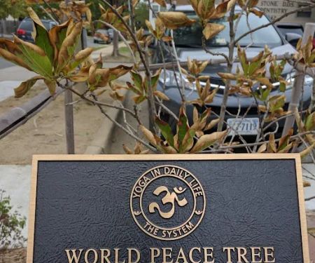 World Peace Tree