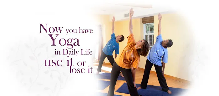 Yoga In Daily Life Alexandria Picture 3