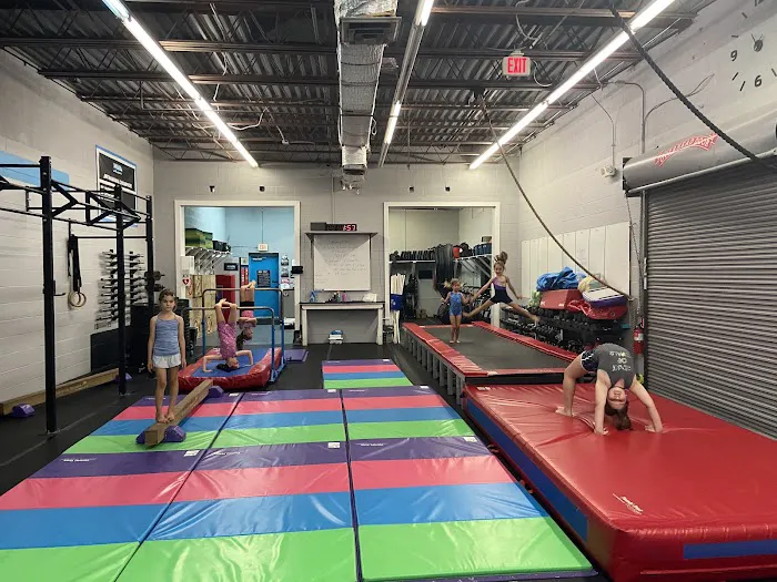 Bounce Alexandria Picture 4