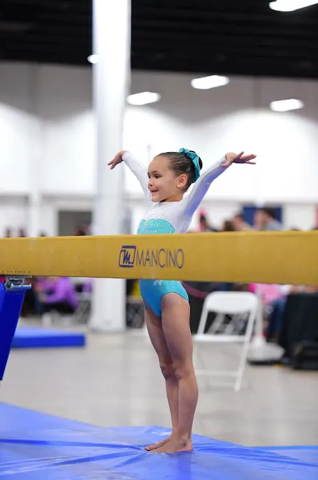 Main Line Gymnastics Picture 8