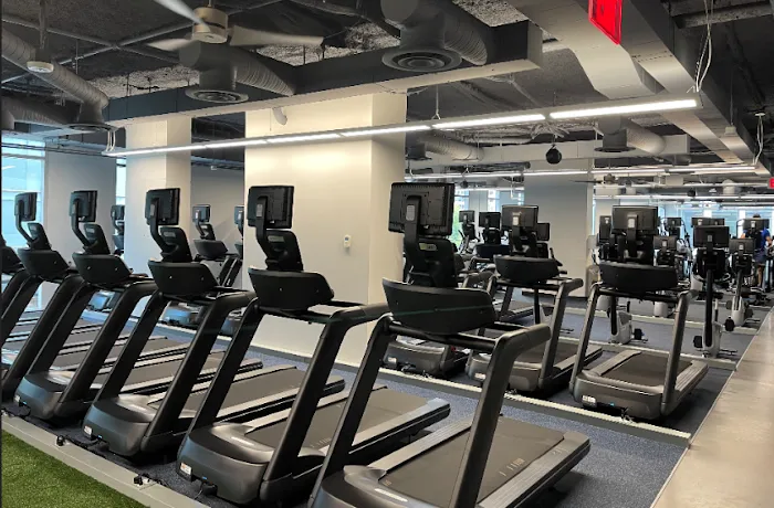 Gold's Gym Picture 6