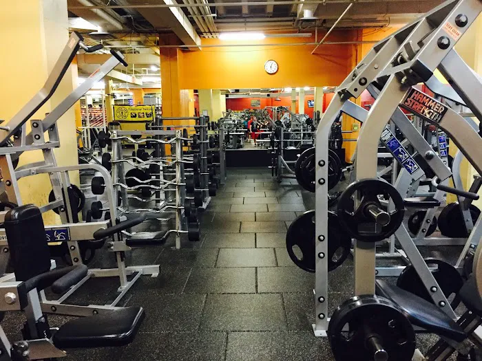 Gold's Gym Picture 3