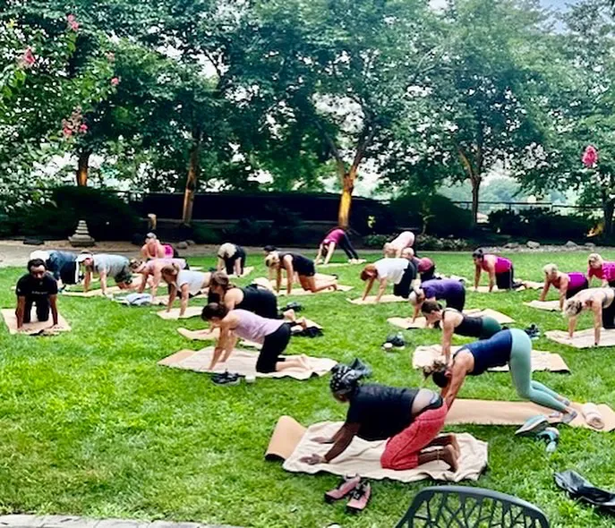 Verve Health & Fitness Picture 4