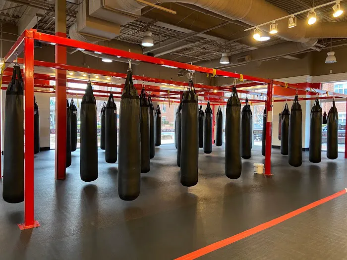 UFC GYM Fairfax Picture 7