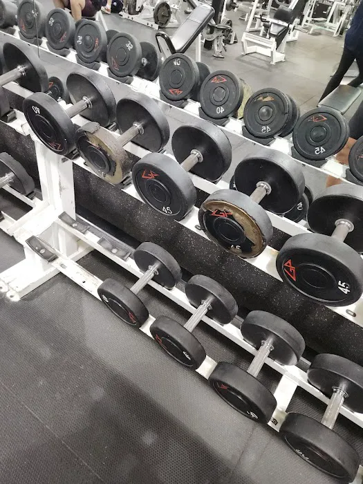 Gold's Gym - Annandale Picture 2
