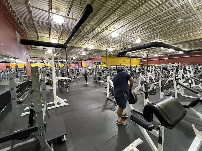 Gold's Gym - Annandale Picture 7