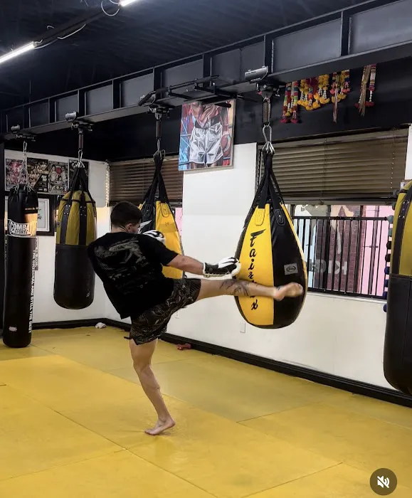 Lotus Thai Boxing Picture 3